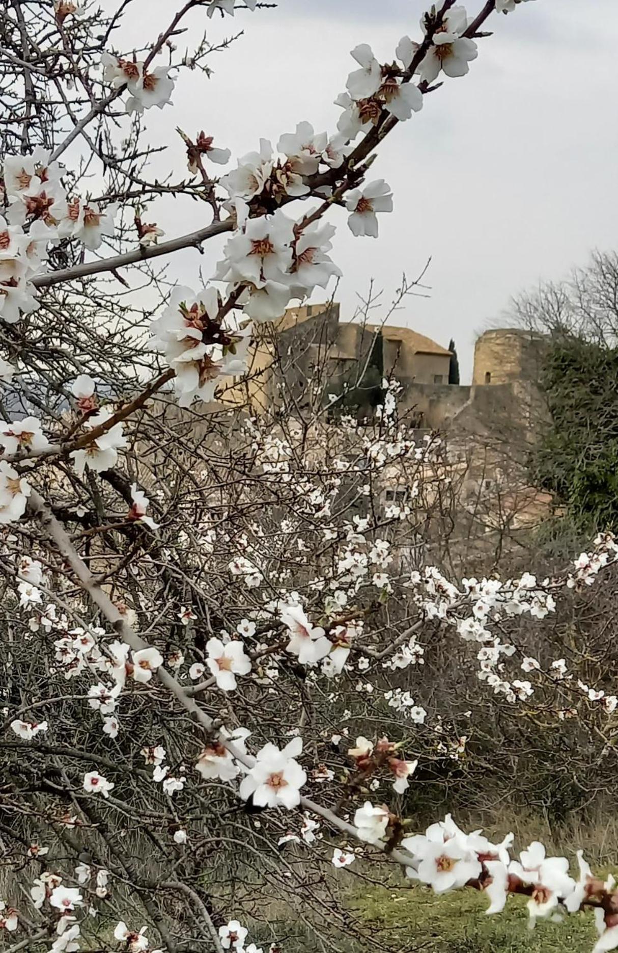 La Villa 1777 Lagnes Εξωτερικό φωτογραφία